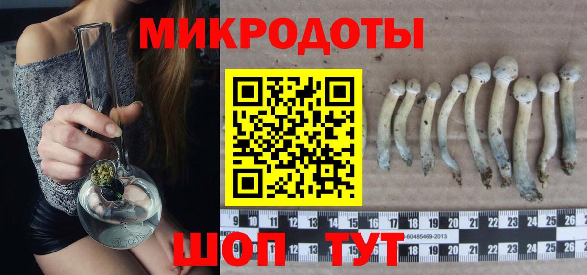 Псилоцибиновые грибы Cubensis  Галлюциногенные грибы мицелий  Сосновый Бор  Вход с VPN 