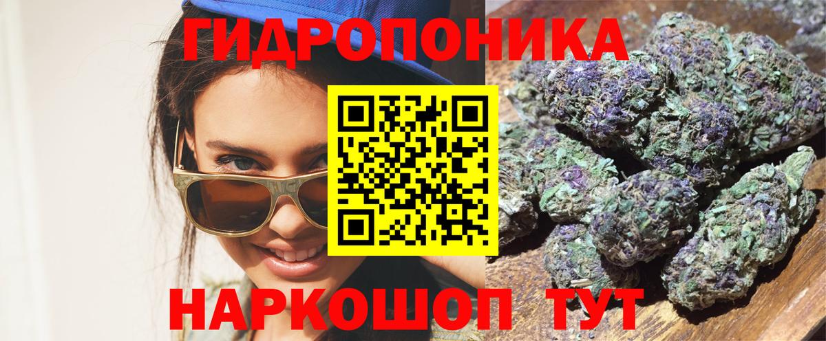 A PVP Сосновый Бор